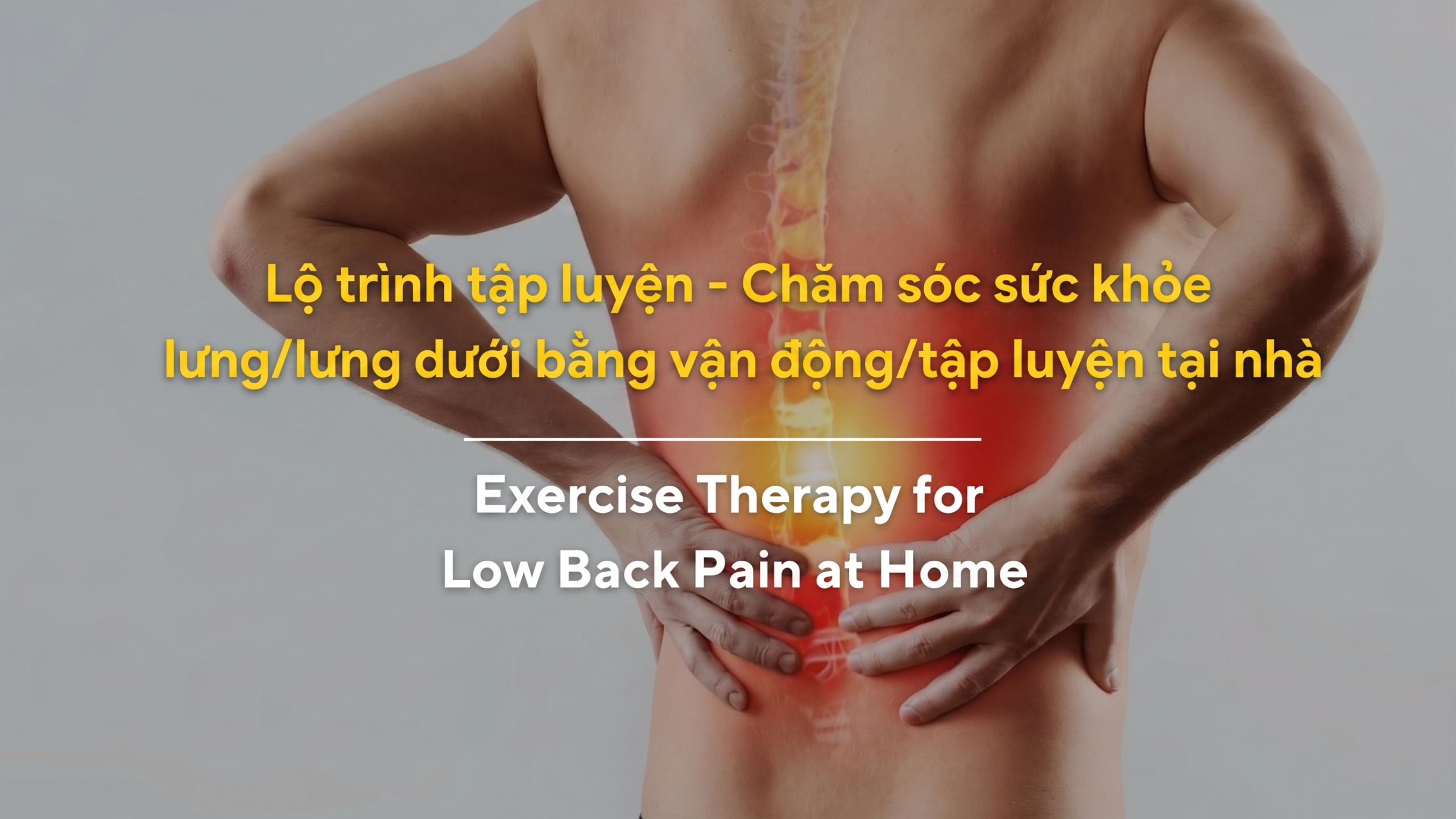 Lộ trình tập luyện – Chăm sóc sức khỏe lưng/lưng dưới bằng vận động/tập luyện tại nhà